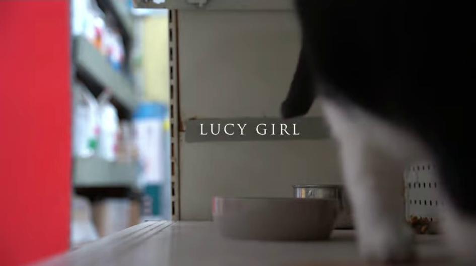 Lucy Girl title frame