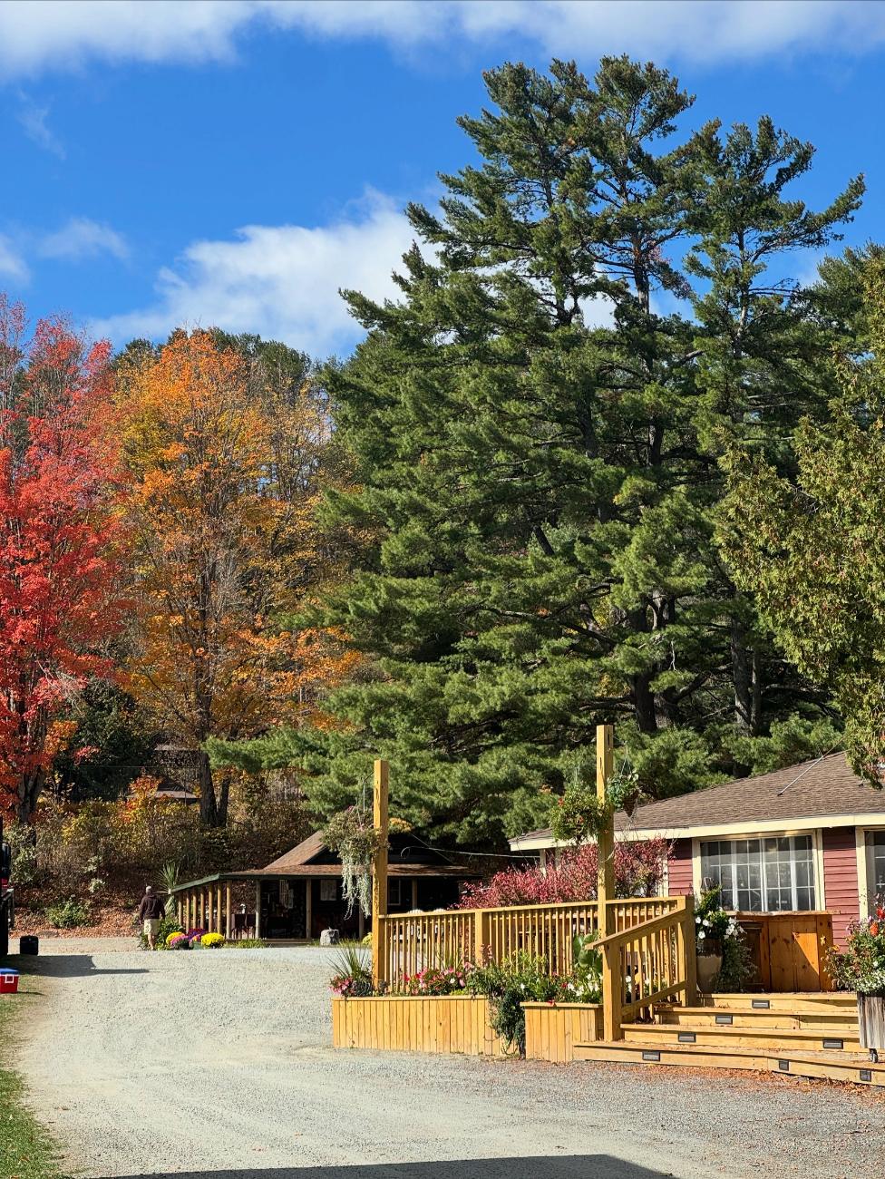 Ogontz property in autumn