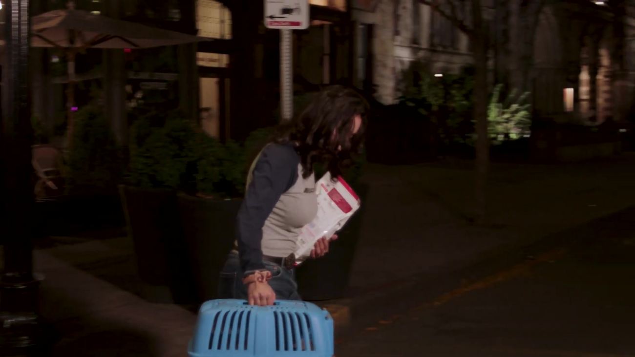 Walking the city with the cat carrier